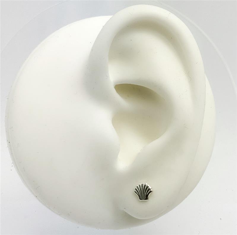 BR LISO CONCHA 5MM TARRAXA BABY